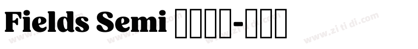 Fields Semi 全套字体字体转换